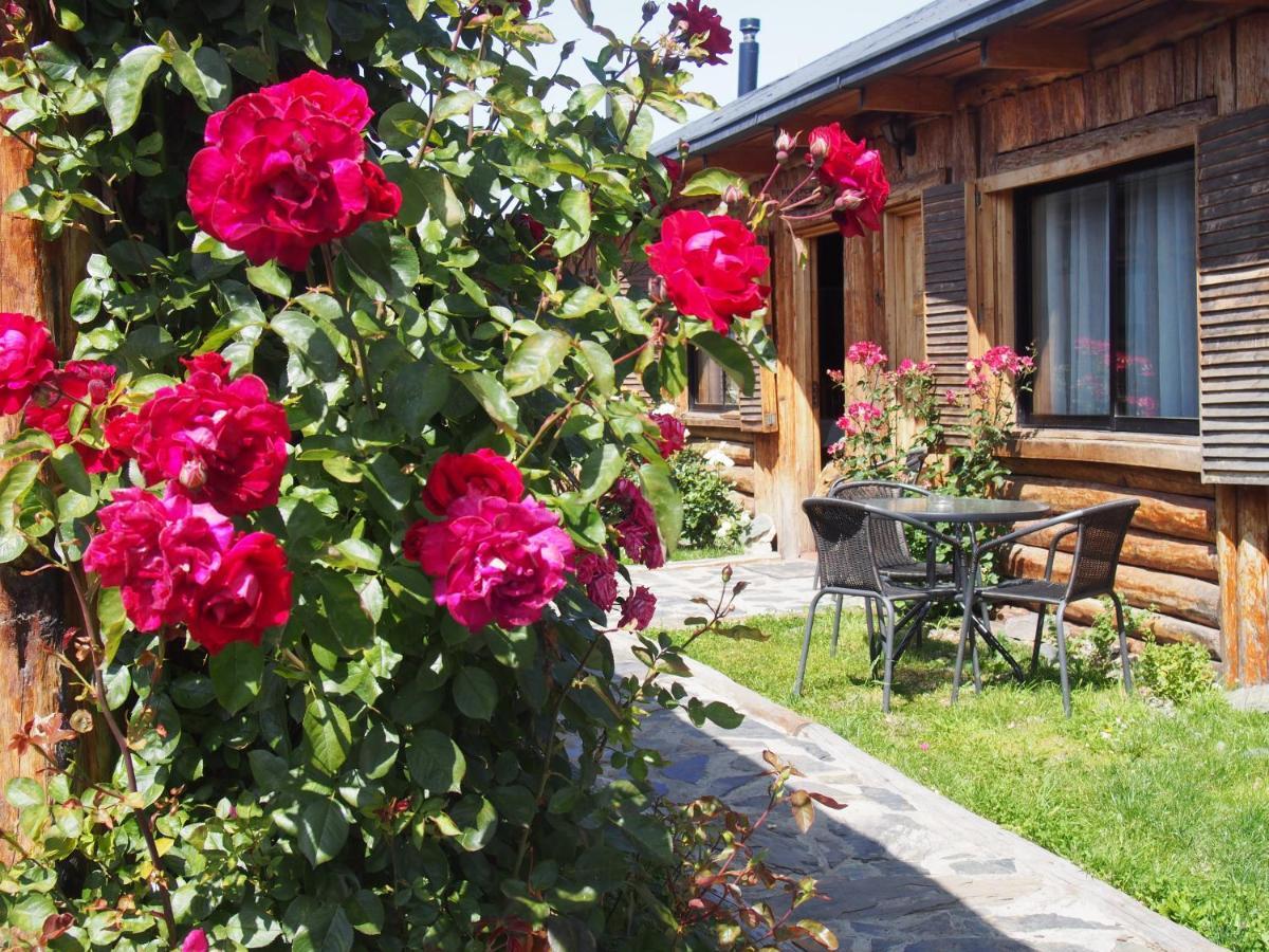 Hotel Ultimo Paraiso Cochrane Ngoại thất bức ảnh